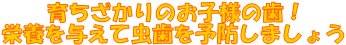 �炿������̂��q�l�̎��I�h�{��^���Ē�����\�h���܂��傤
